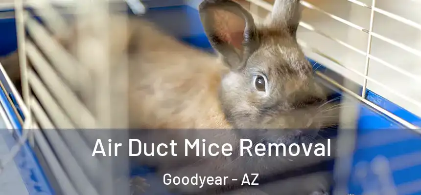 Air Duct Mice Removal Goodyear - AZ