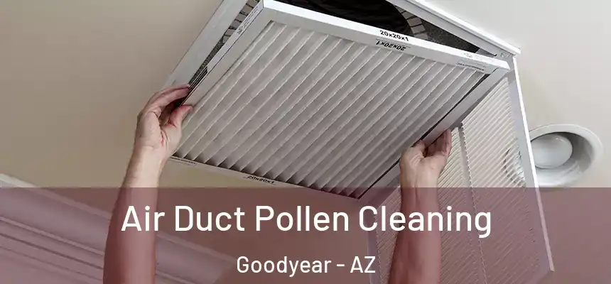 Air Duct Pollen Cleaning Goodyear - AZ