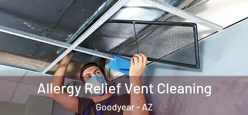 Allergy Relief Vent Cleaning Goodyear - AZ