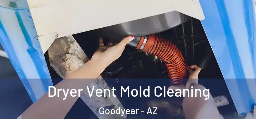 Dryer Vent Mold Cleaning Goodyear - AZ