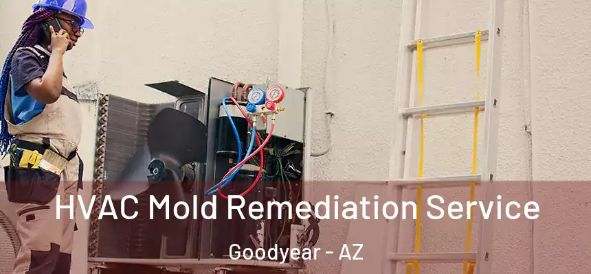 HVAC Mold Remediation Service Goodyear - AZ