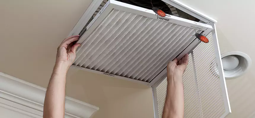 Preventive Cockroach-Proofing for Ducts in Goodyear