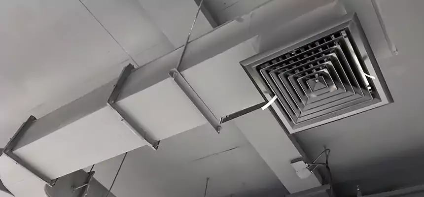 Restorative Allergy Relief Vent Cleaning – Coil, Blower & Housing Detail in Goodyear