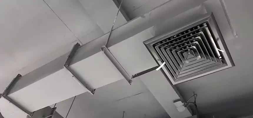 Our Pest Removal From Ducts Services in Goodyear, AZ