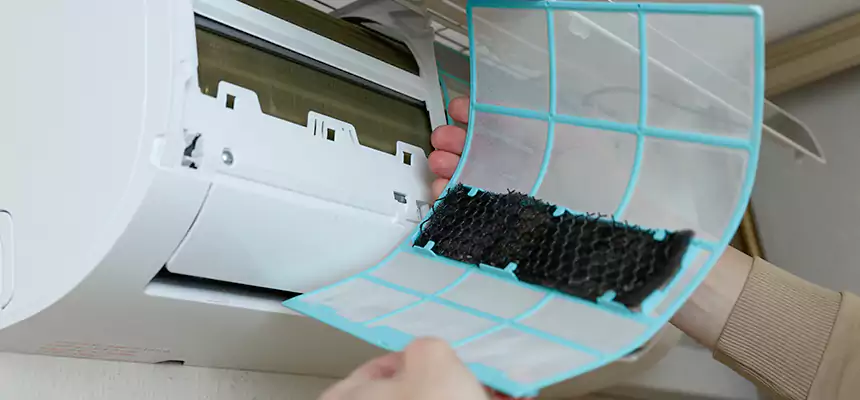 Gentle Ductwork Odor-Control Pet Dander Duct Cleaning in Goodyear, AZ