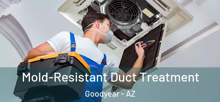 Mold-Resistant Duct Treatment Goodyear - AZ