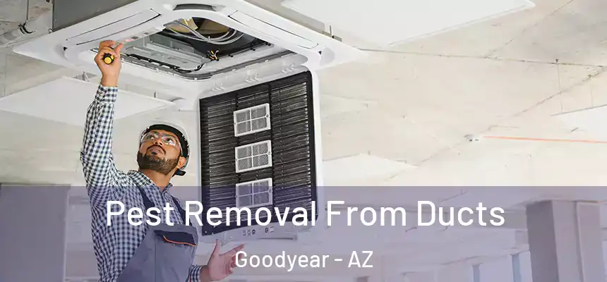 Pest Removal From Ducts Goodyear - AZ