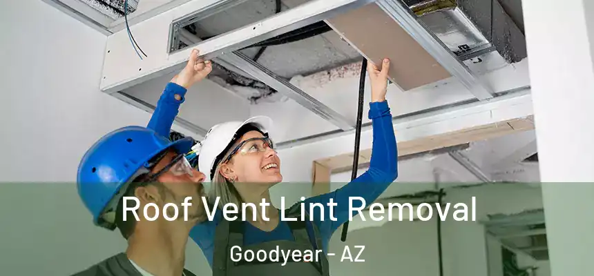 Roof Vent Lint Removal Goodyear - AZ