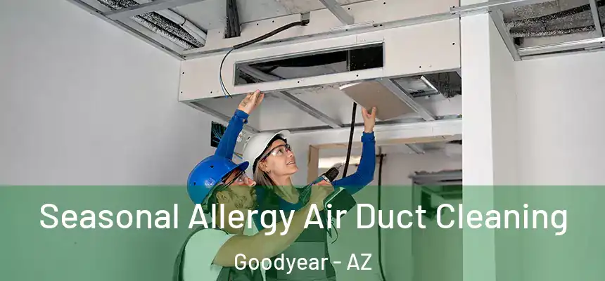 Seasonal Allergy Air Duct Cleaning Goodyear - AZ