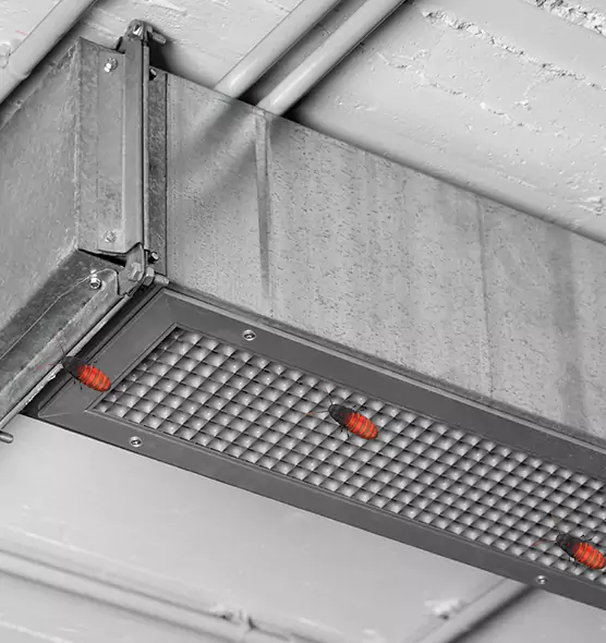 About Air Duct Cockroach Removal in Goodyear, AZ