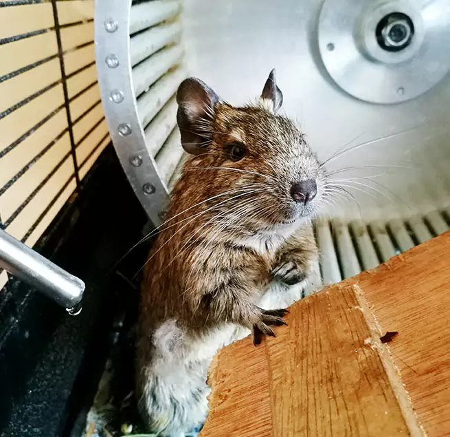 Why Homeowners & Businesses Trust Us Goodyear, AZ?